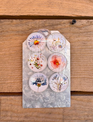 Set of 6 Wildflower Magnets