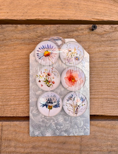 Set of 6 Wildflower Magnets