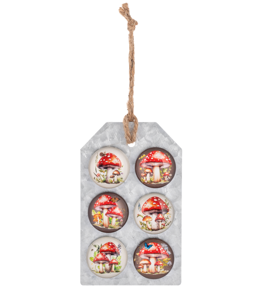 Set of 6 Mushroom Magnets