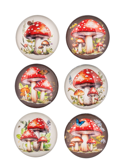 Set of 6 Mushroom Magnets