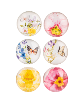 Set of 6 Butterfly Magnets