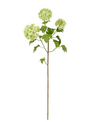 Snowball Branch Spray (2-Colors)