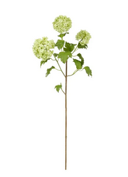 Snowball Branch Spray (2-Colors)