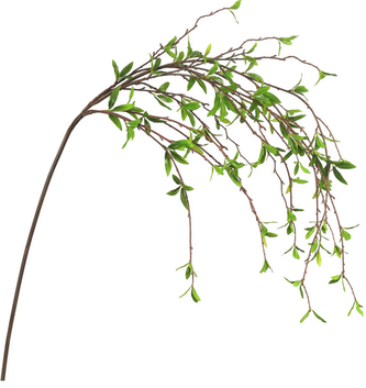 Wild Leaf Spray