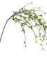 Wild Leaf Spray