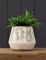 Round Distressed Fern Container