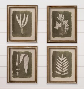 Set of 4 Fern Silhouette Prints