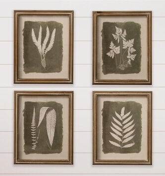 Set of 4 Fern Silhouette Prints