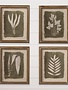 Set of 4 Fern Silhouette Prints