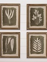 Set of 4 Fern Silhouette Prints
