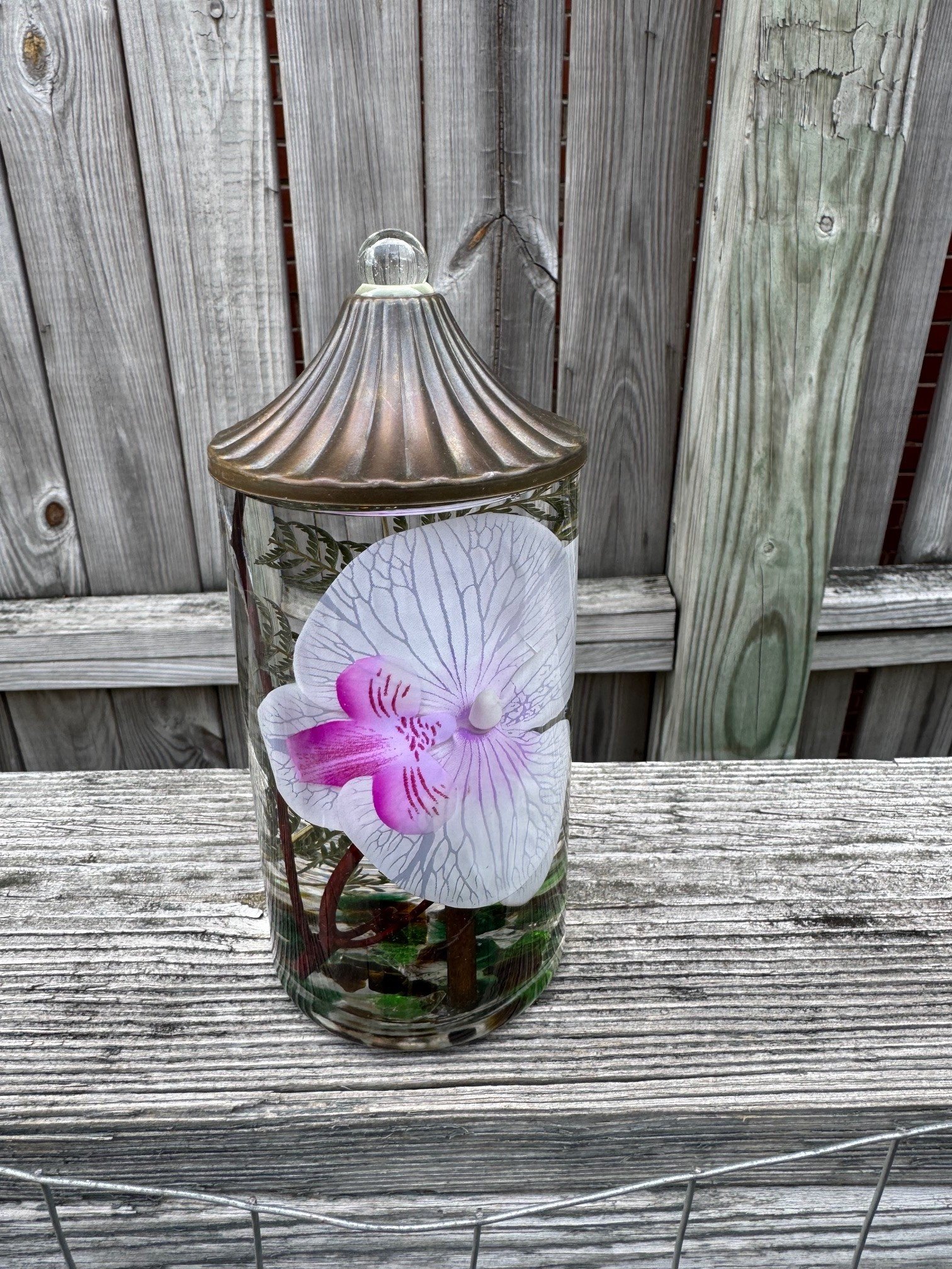 Phalaenopsis Orchid Lifetime Oil Candle (7-Styles)