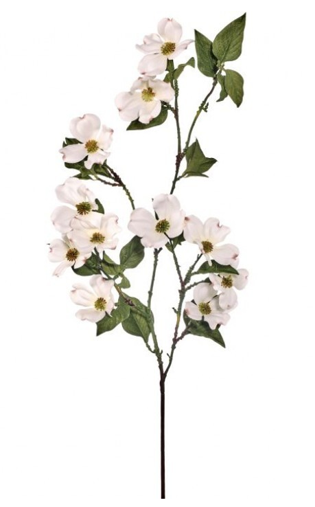 North American Dogwood Spray
