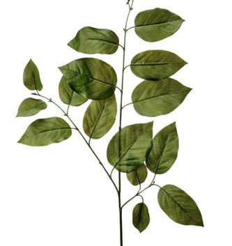 Natural Touch Triple Salal Leaf