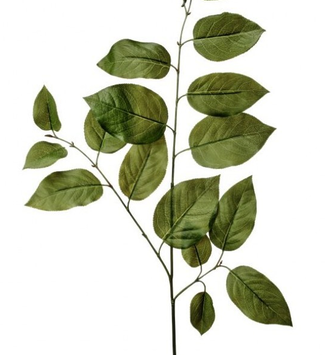 Natural Touch Triple Salal Leaf