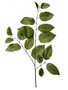 Natural Touch Triple Salal Leaf
