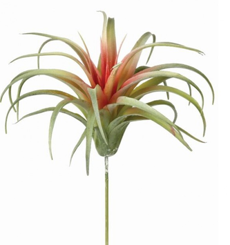 Air Plant Pick