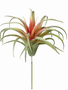 Air Plant Pick