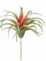 Air Plant Pick