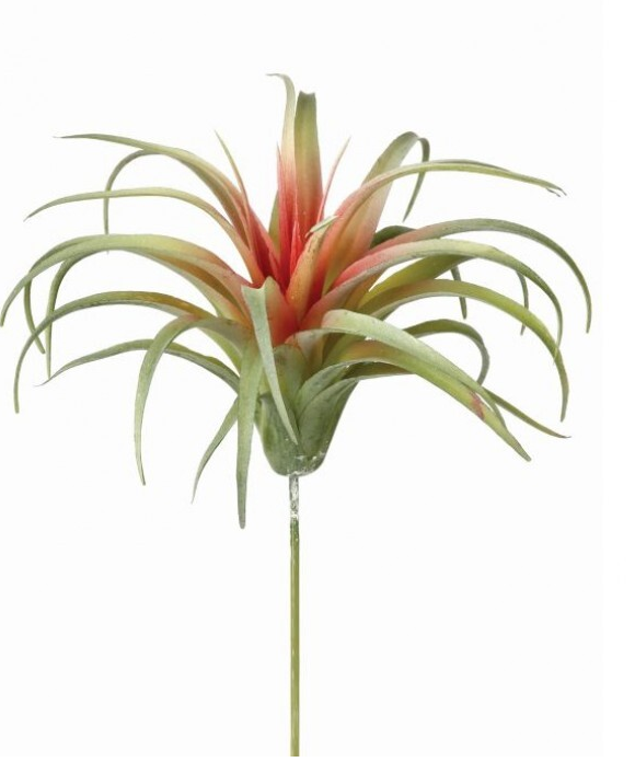 Air Plant Pick