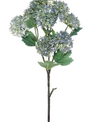 Snowball Hydrangea Branch2-Colors)