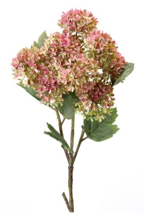 Snowball Hydrangea Branch2-Colors)