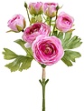 13" Ranunculus Bundle (3-Colors)