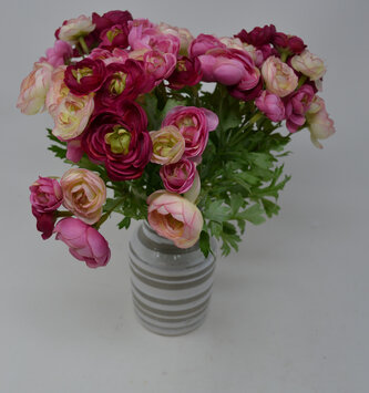 Pink Mini Ranunculus Bush