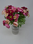 Pink Mini Ranunculus Bush