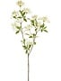 Baby's Breath Spray