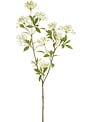 Baby's Breath Spray