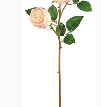 Soft Touch Natural Rose (2-Colors)