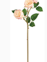 Soft Touch Natural Rose (3-Colors)