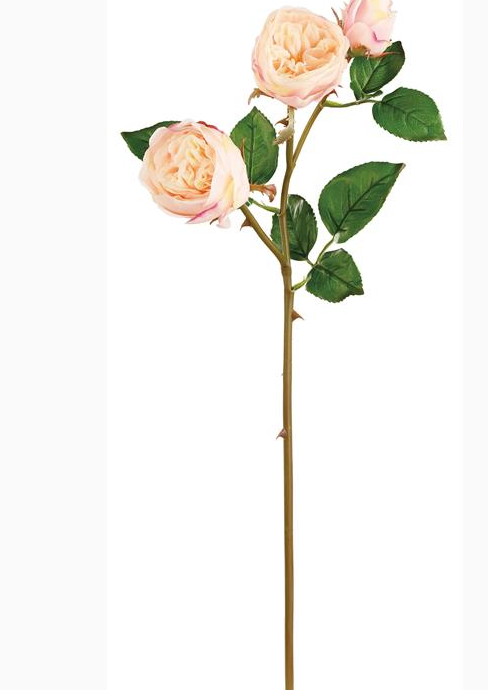 Soft Touch Natural Rose (2-Colors)