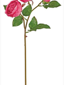 Soft Touch Natural Rose (2-Colors)