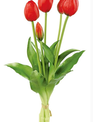 Real Touch Tulip Bundle (3-Colors)