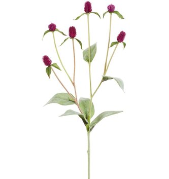 Purple Thistle Spray