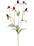 Purple Thistle Spray