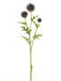 Globe Thistle Spray (2-Colors)