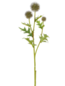 Globe Thistle Spray