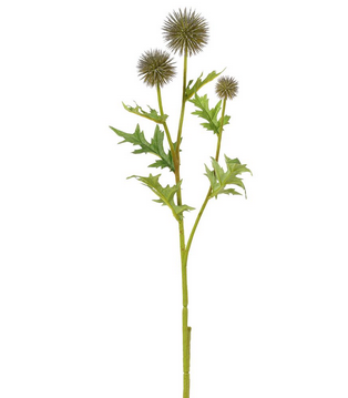 Globe Thistle Spray
