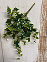 22" Variegated Ivy Bush