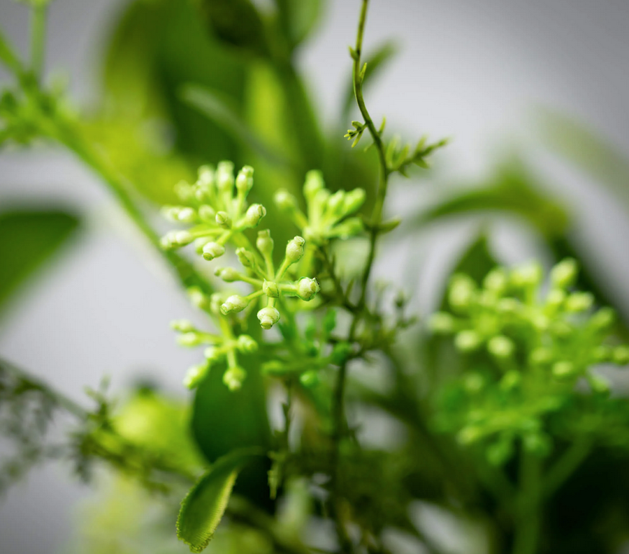 4.5" Mixed Greenery Fern Candle Ring