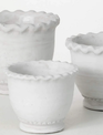Scalloped Edge Cement Pot
