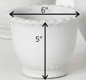 Scalloped Edge Cement Pot