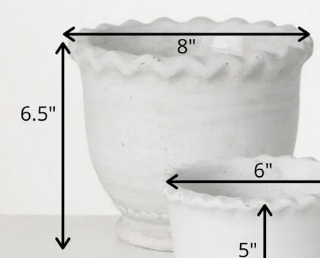 Scalloped Edge Cement Pot