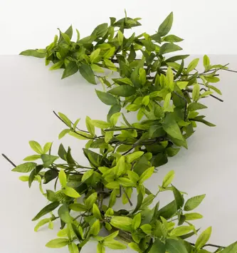 5' Ruscus & Twig Garland