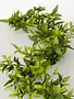 5' Ruscus & Twig Garland