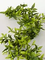 5' Ruscus & Twig Garland