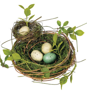 Double Nest w/ Eggs
