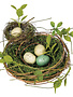 Double Nest w/ Eggs